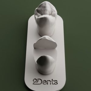 SCULPT - 3D tooth modeling