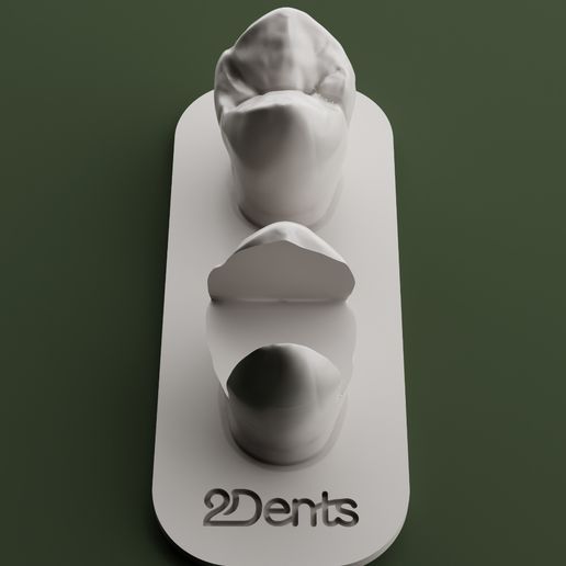 SCULPT - 3D tooth modeling